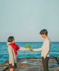 Goblin Korean Drama Paint By Numbers