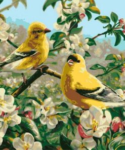 Golden Goldfinch Bird Paint By Numbers