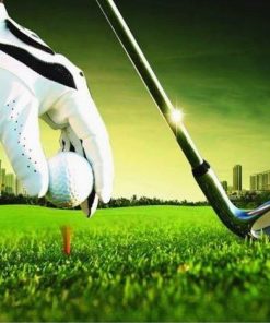 Golf Tee Scenery Paint By Numbers