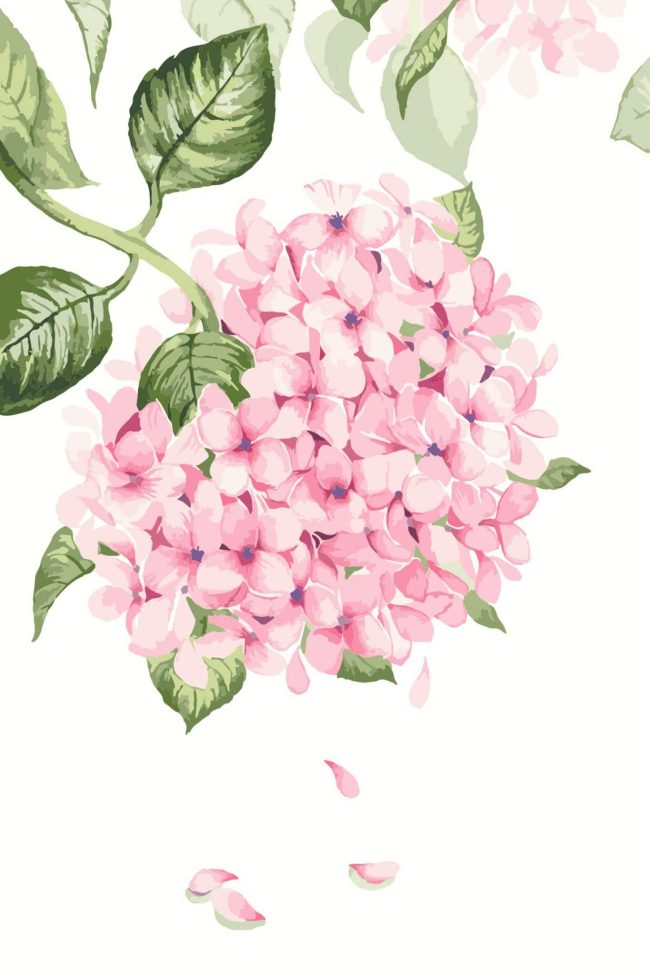 Gorgeous Pink Flower Paint By Numbers