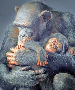 Gorilla Wildlife Paint By Numbers