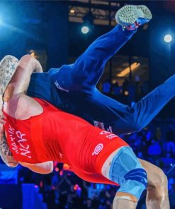 Grappling Martial Arts Paint By Numbers