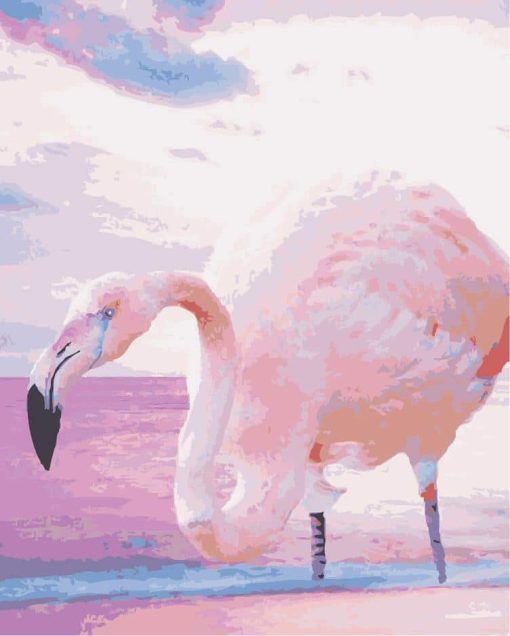 Greater-Flamingo-paint-by-numbers