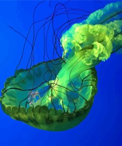 Green Jellyfish Animals Paint By Numbers