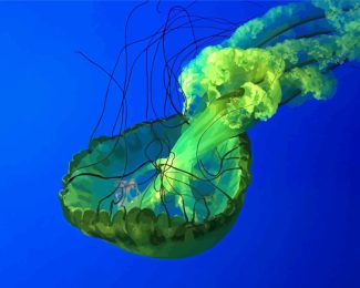 Green Jellyfish Animals Paint By Numbers