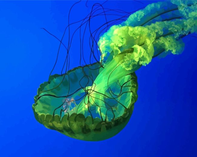 Green Jellyfish Animals Paint By Numbers