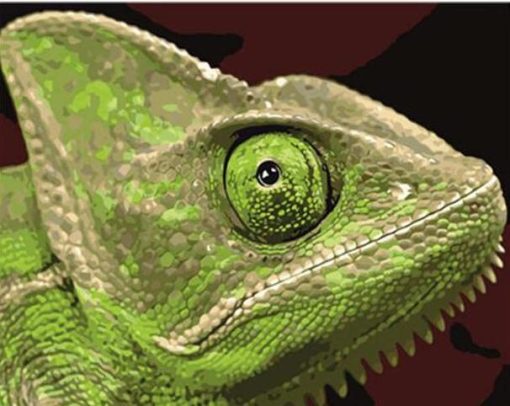 Green-Lizard-paint-by-numbers