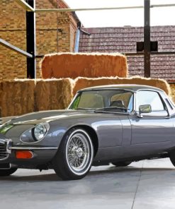 Grey Jaguar E Type Classic Paint By Numbers