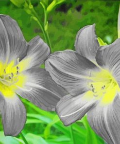 Grey Floral Beauty Paint By Numbers