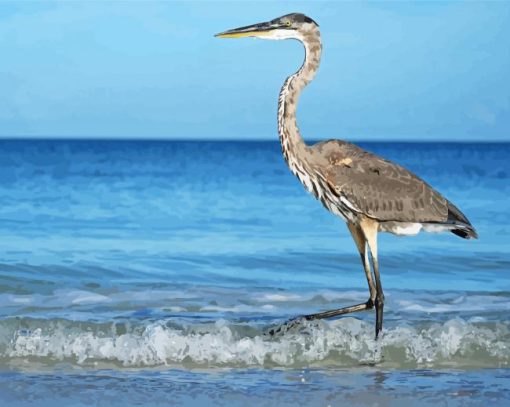 Grey-heron-on-beach-paint-by-number