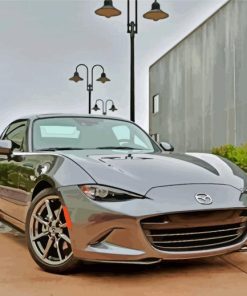 Grey Miata Classic Style Paint By Numbers