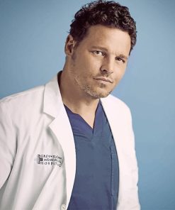 Alex Karev in Grey's Anatomy Paint By Numbers
