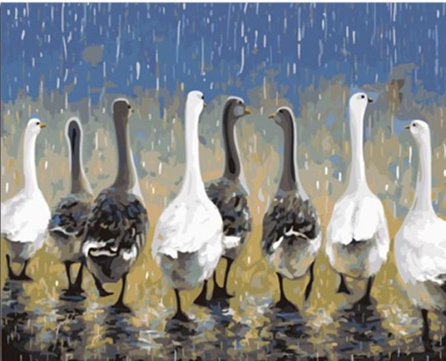 Duck Group Wildlife Art Paint By Numbers