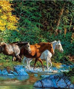 Horses Crossing River Paint By Numbers