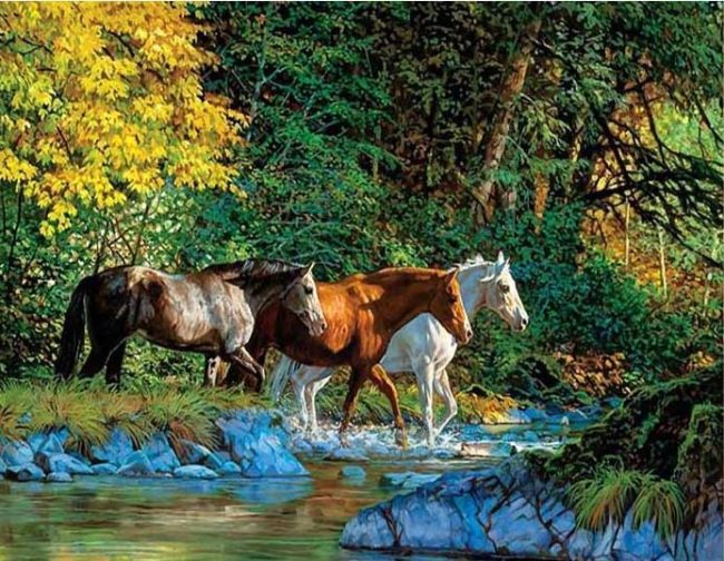 Horses Crossing River Paint By Numbers