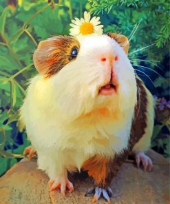 Guinea Pig Flowers Paint By Numbers