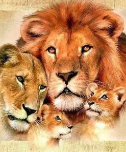 Majestic Lion Animals Paint By Numbers