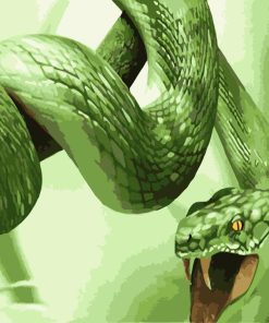 King Cobra Snake Art Paint By Numbers