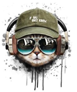 Cat Music Enthusiast Paint By Numbers