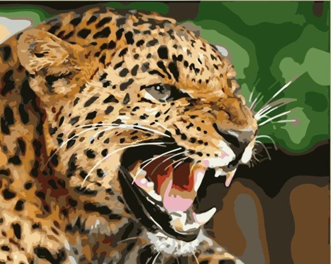 Leopard Animals Paint By Numbers