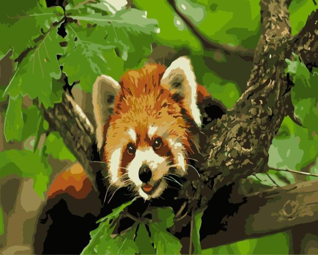 Red Panda on a Branch Paint By Numbers