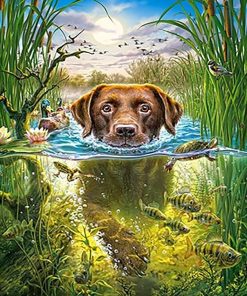Dog Swimming Fun Paint By Numbers