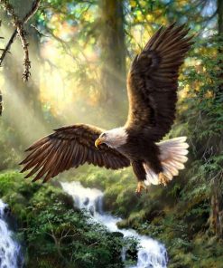 Eagles in the Forest Paint By Numbers