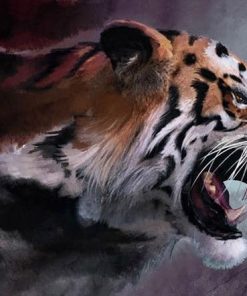 Wild Tiger Paint By Numbers