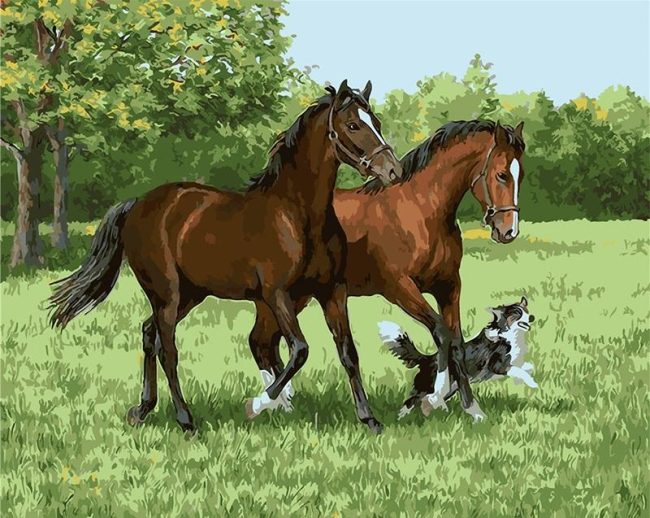 Stallions and Dog Paint By Numbers