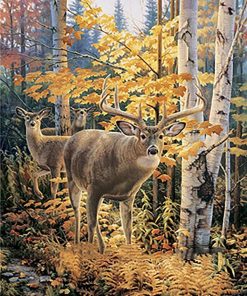 Autumn Deer Wildlife Paint By Numbers