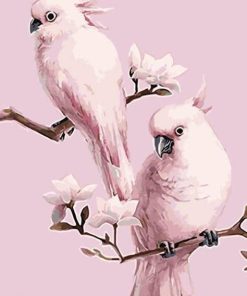 Pink Parrot Bird Paint By Numbers