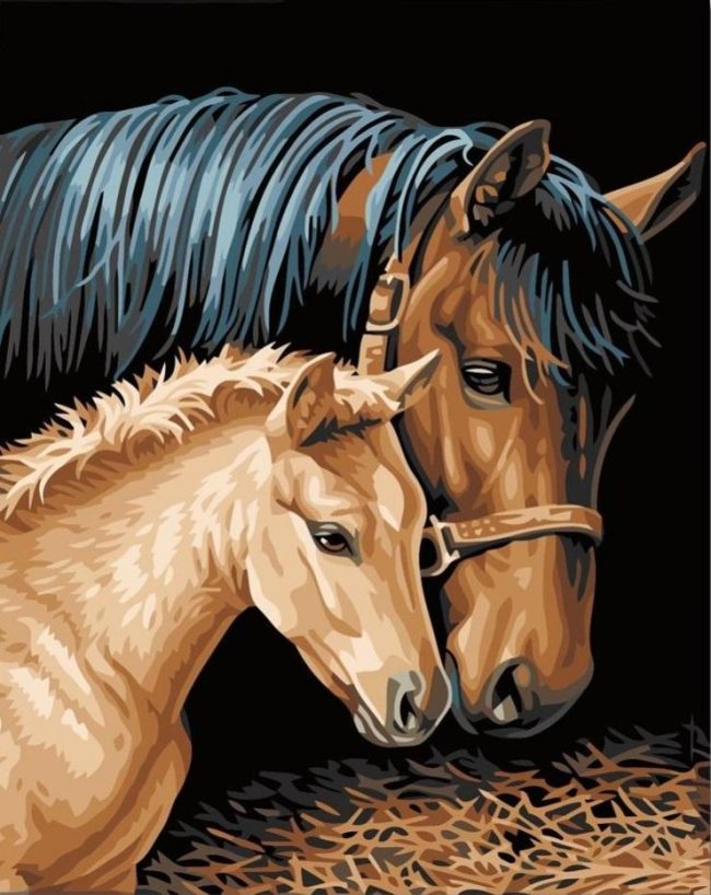 Brown Horses and Foals Paint By Numbers