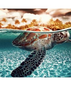 Sea Turtle Art Paint By Numbers