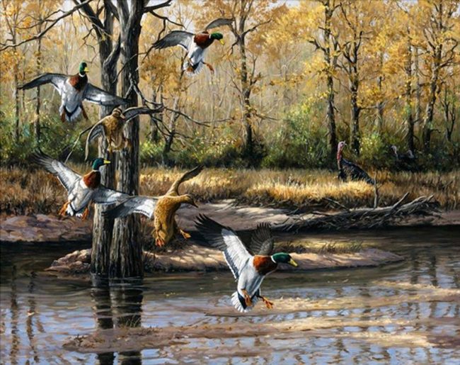 Wild Ducks Nature Paint By Numbers