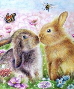 Lovers Rabbit Animal Paint By Numbers