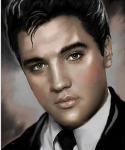 Young Elvis Artistry Paint By Numbers