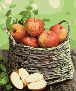 French Apple Still Life Paint By Numbers