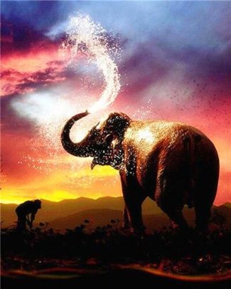 Elephant Sunset Art Paint By Numbers