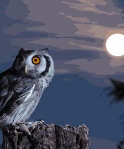 Owl Nocturnal Beauty Paint By Numbers