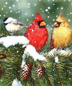 Winter Birds Artistry Paint By Numbers