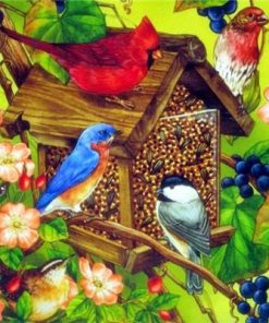 Colorful Birdhouses Paint By Numbers