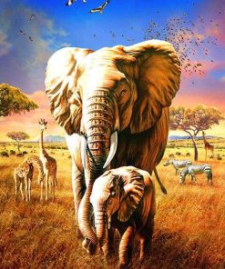 Elephant Family Paint By Numbers