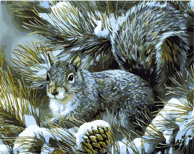 Winter Squirrel Animals Paint By Numbers