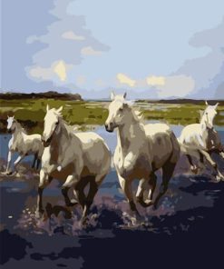 Wild Herd White Horses Paint By Numbers