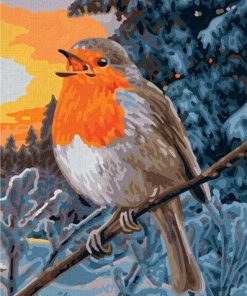 European Robin Paint By Numbers