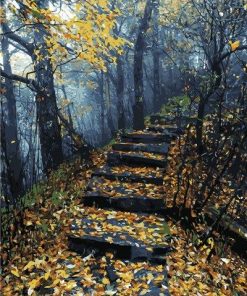 Forest Stairway Path Paint By Numbers