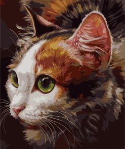Cool Cat Paint By Numbers