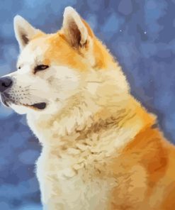 Hachiko Akita Dog Paint By Numbers