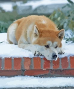 Hachiko Dog Snow Paint By Numbers