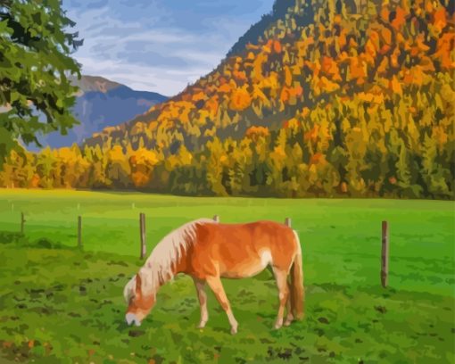 Haflinger-horse-on-meadow-in-alps-paint-by-numbers